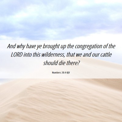 Picture 06 - Numbers 20:4 KJV - And why have ye brought up the congregation of - Bible Verse Picture