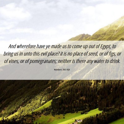 Picture 06 - Numbers 20:5 KJV - And wherefore have ye made us to come up out of - Bible Verse Picture