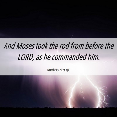 Picture 06 - Numbers 20:9 KJV - And Moses took the rod from before the LORD, as - Bible Verse Picture