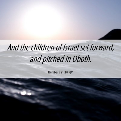 Picture 06 - Numbers 21:10 KJV - And the children of Israel set forward, and - Bible Verse Picture