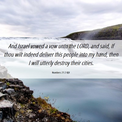 Picture 06 - Numbers 21:2 KJV - And Israel vowed a vow unto the LORD, and said, - Bible Verse Picture