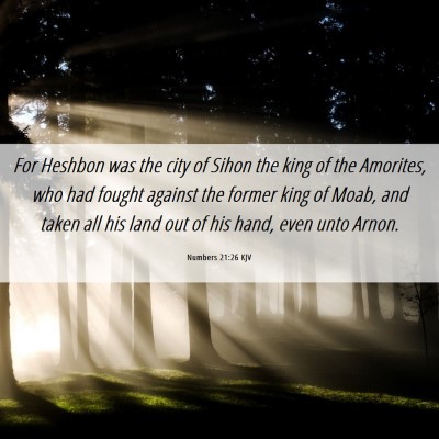 Picture 06 - Numbers 21:26 KJV - For Heshbon was the city of Sihon the king of the - Bible Verse Picture