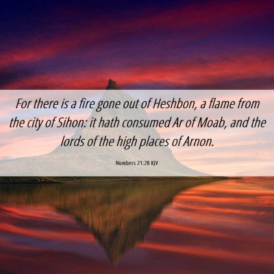 Picture 06 - Numbers 21:28 KJV - For there is a fire gone out of Heshbon, a flame - Bible Verse Picture