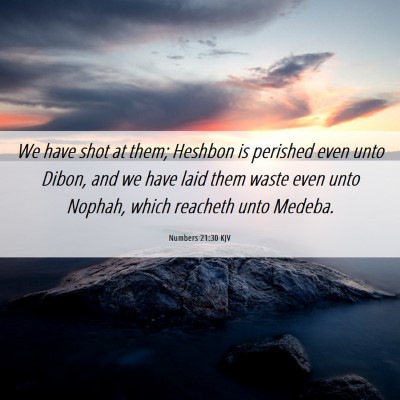 Picture 06 - Numbers 21:30 KJV - We have shot at them; Heshbon is perished even - Bible Verse Picture
