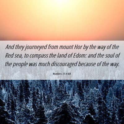 Picture 06 - Numbers 21:4 KJV - And they journeyed from mount Hor by the way of - Bible Verse Picture