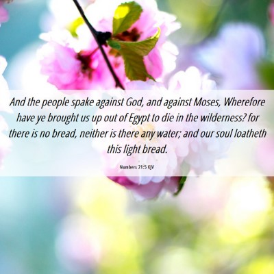Picture 06 - Numbers 21:5 KJV - And the people spake against God, and against - Bible Verse Picture