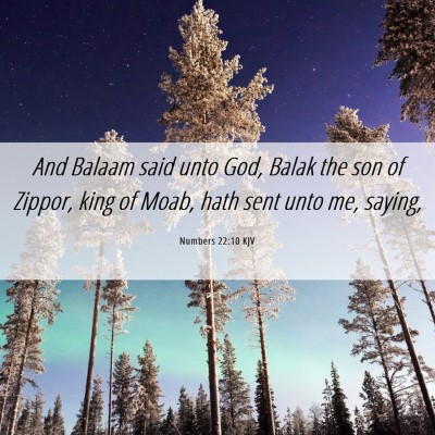 Picture 06 - Numbers 22:10 KJV - And Balaam said unto God, Balak the son of - Bible Verse Picture