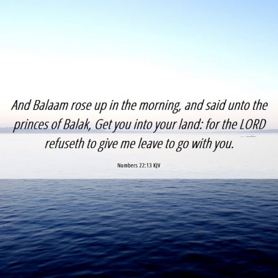 Picture 06 - Numbers 22:13 KJV - And Balaam rose up in the morning, and said unto - Bible Verse Picture