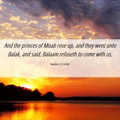 Picture 06 - Numbers 22:14 KJV - And the princes of Moab rose up, and they went - Bible Verse Picture