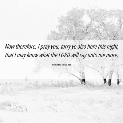Picture 06 - Numbers 22:19 KJV - Now therefore, I pray you, tarry ye also here - Bible Verse Picture