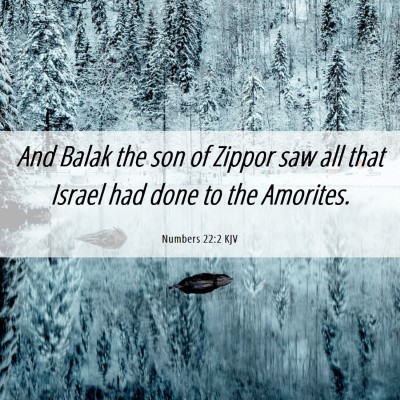 Picture 06 - Numbers 22:2 KJV - And Balak the son of Zippor saw all that Israel - Bible Verse Picture