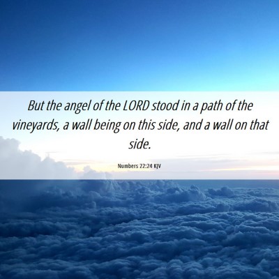Picture 06 - Numbers 22:24 KJV - But the angel of the LORD stood in a path of the - Bible Verse Picture