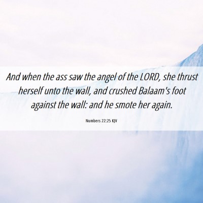 Picture 06 - Numbers 22:25 KJV - And when the ass saw the angel of the LORD, she - Bible Verse Picture