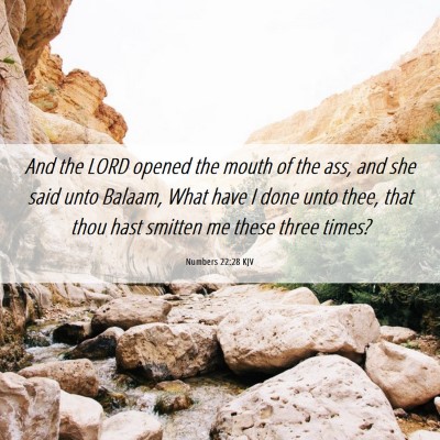 Picture 06 - Numbers 22:28 KJV - And the LORD opened the mouth of the ass, and she - Bible Verse Picture