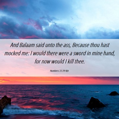 Picture 06 - Numbers 22:29 KJV - And Balaam said unto the ass, Because thou hast - Bible Verse Picture