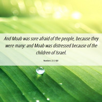 Picture 06 - Numbers 22:3 KJV - And Moab was sore afraid of the people, because - Bible Verse Picture