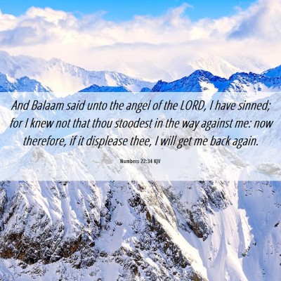 Picture 06 - Numbers 22:34 KJV - And Balaam said unto the angel of the LORD, I - Bible Verse Picture