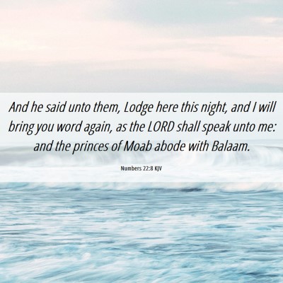 Picture 06 - Numbers 22:8 KJV - And he said unto them, Lodge here this night, and - Bible Verse Picture
