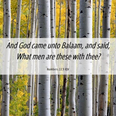 Picture 06 - Numbers 22:9 KJV - And God came unto Balaam, and said, What men are - Bible Verse Picture