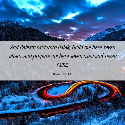 Picture 06 - Numbers 23:1 KJV - And Balaam said unto Balak, Build me here seven - Bible Verse Picture