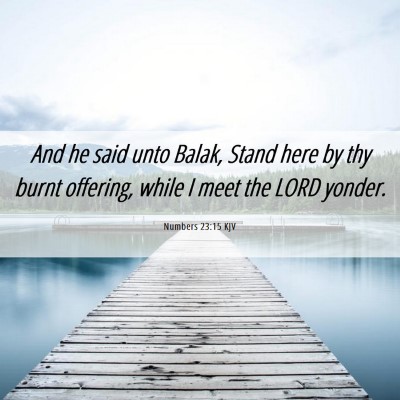 Picture 06 - Numbers 23:15 KJV - And he said unto Balak, Stand here by thy burnt - Bible Verse Picture