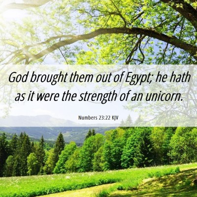 Picture 06 - Numbers 23:22 KJV - God brought them out of Egypt; he hath as it were - Bible Verse Picture