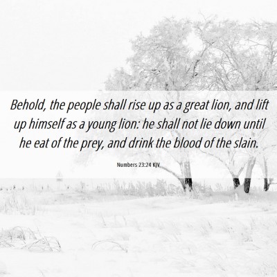 Picture 06 - Numbers 23:24 KJV - Behold, the people shall rise up as a great lion, - Bible Verse Picture
