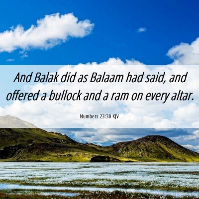 Picture 06 - Numbers 23:30 KJV - And Balak did as Balaam had said, and offered a - Bible Verse Picture