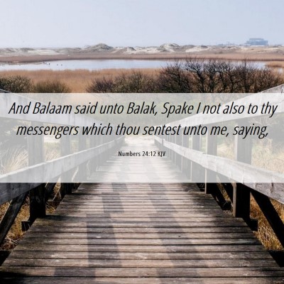 Picture 06 - Numbers 24:12 KJV - And Balaam said unto Balak, Spake I not also to - Bible Verse Picture