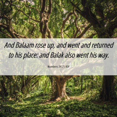 Picture 06 - Numbers 24:25 KJV - And Balaam rose up, and went and returned to his - Bible Verse Picture