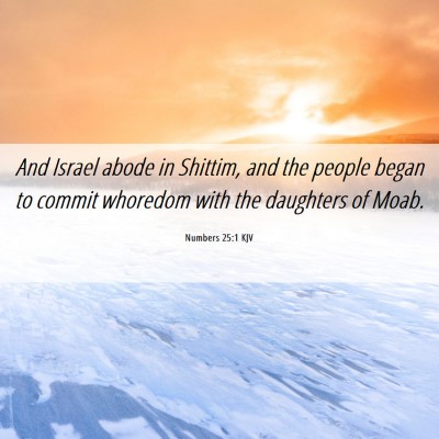 Picture 06 - Numbers 25:1 KJV - And Israel abode in Shittim, and the people began - Bible Verse Picture