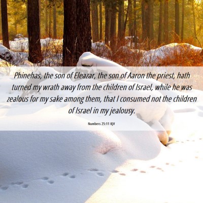 Picture 06 - Numbers 25:11 KJV - Phinehas, the son of Eleazar, the son of Aaron - Bible Verse Picture