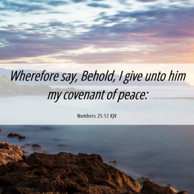 Picture 06 - Numbers 25:12 KJV - Wherefore say, Behold, I give unto him my - Bible Verse Picture