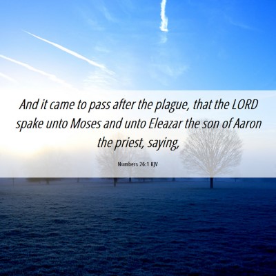 Picture 06 - Numbers 26:1 KJV - And it came to pass after the plague, that the - Bible Verse Picture