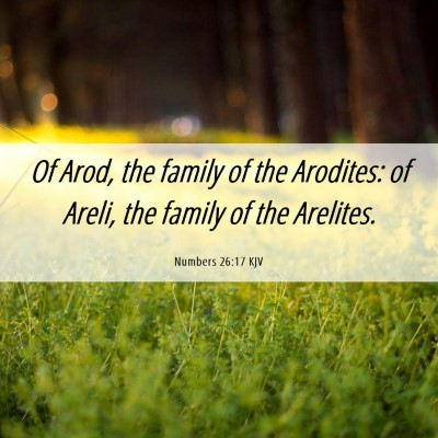 Picture 06 - Numbers 26:17 KJV - Of Arod, the family of the Arodites: of Areli, - Bible Verse Picture