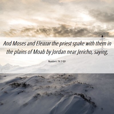 Picture 06 - Numbers 26:3 KJV - And Moses and Eleazar the priest spake with them - Bible Verse Picture