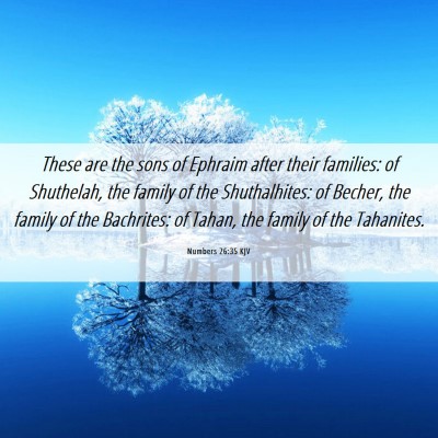 Picture 06 - Numbers 26:35 KJV - These are the sons of Ephraim after their - Bible Verse Picture