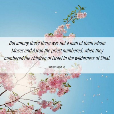 Picture 06 - Numbers 26:64 KJV - But among these there was not a man of them whom - Bible Verse Picture