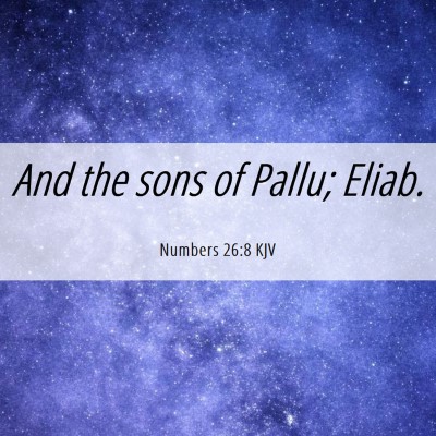 Picture 06 - Numbers 26:8 KJV - And the sons of Pallu; - Bible Verse Picture