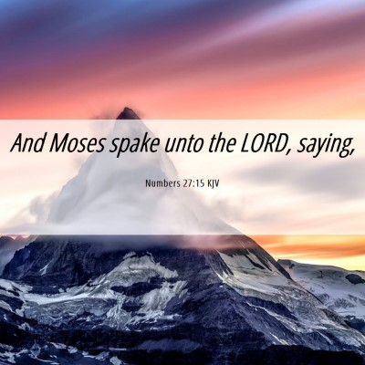 Picture 06 - Numbers 27:15 KJV - And Moses spake unto the LORD, - Bible Verse Picture