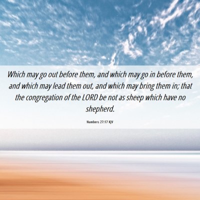 Picture 06 - Numbers 27:17 KJV - Which may go out before them, and which may go in - Bible Verse Picture