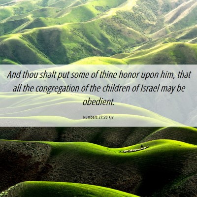 Picture 06 - Numbers 27:20 KJV - And thou shalt put some of thine honor upon him, - Bible Verse Picture