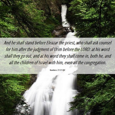 Picture 06 - Numbers 27:21 KJV - And he shall stand before Eleazar the priest, who - Bible Verse Picture