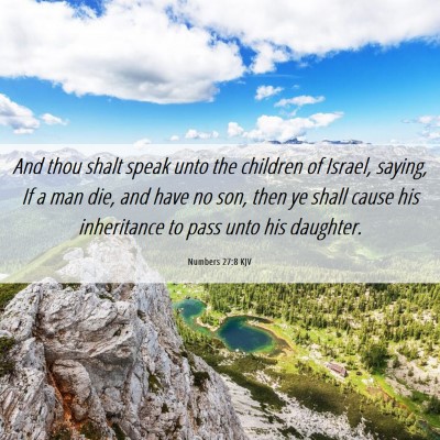 Picture 06 - Numbers 27:8 KJV - And thou shalt speak unto the children of Israel, - Bible Verse Picture