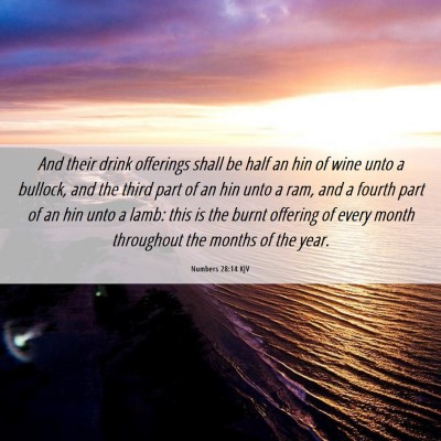 Picture 06 - Numbers 28:14 KJV - And their drink offerings shall be half an hin of - Bible Verse Picture