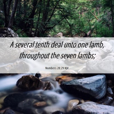 Picture 06 - Numbers 28:29 KJV - A several tenth deal unto one lamb, throughout - Bible Verse Picture