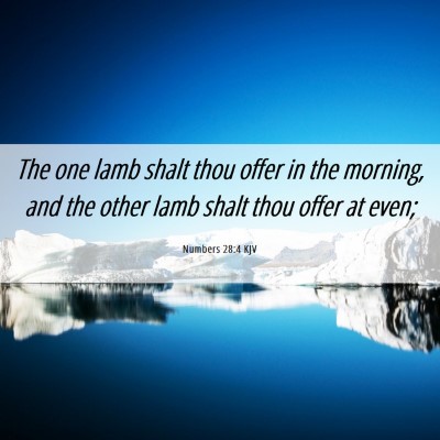 Picture 06 - Numbers 28:4 KJV - The one lamb shalt thou offer in the morning, and - Bible Verse Picture