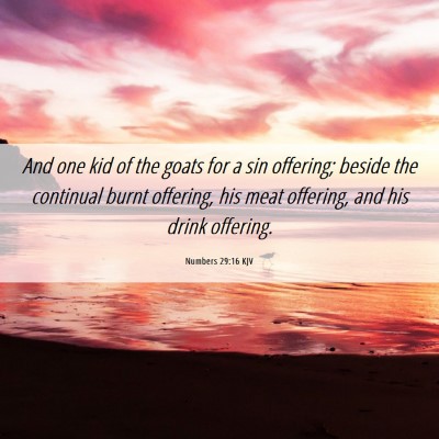 Picture 06 - Numbers 29:16 KJV - And one kid of the goats for a sin offering; - Bible Verse Picture