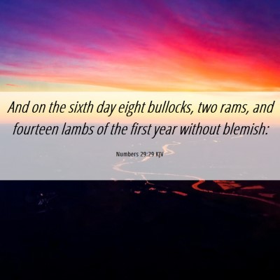 Picture 06 - Numbers 29:29 KJV - And on the sixth day eight bullocks, two rams, - Bible Verse Picture