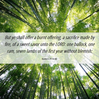 Picture 06 - Numbers 29:36 KJV - But ye shall offer a burnt offering, a sacrifice - Bible Verse Picture